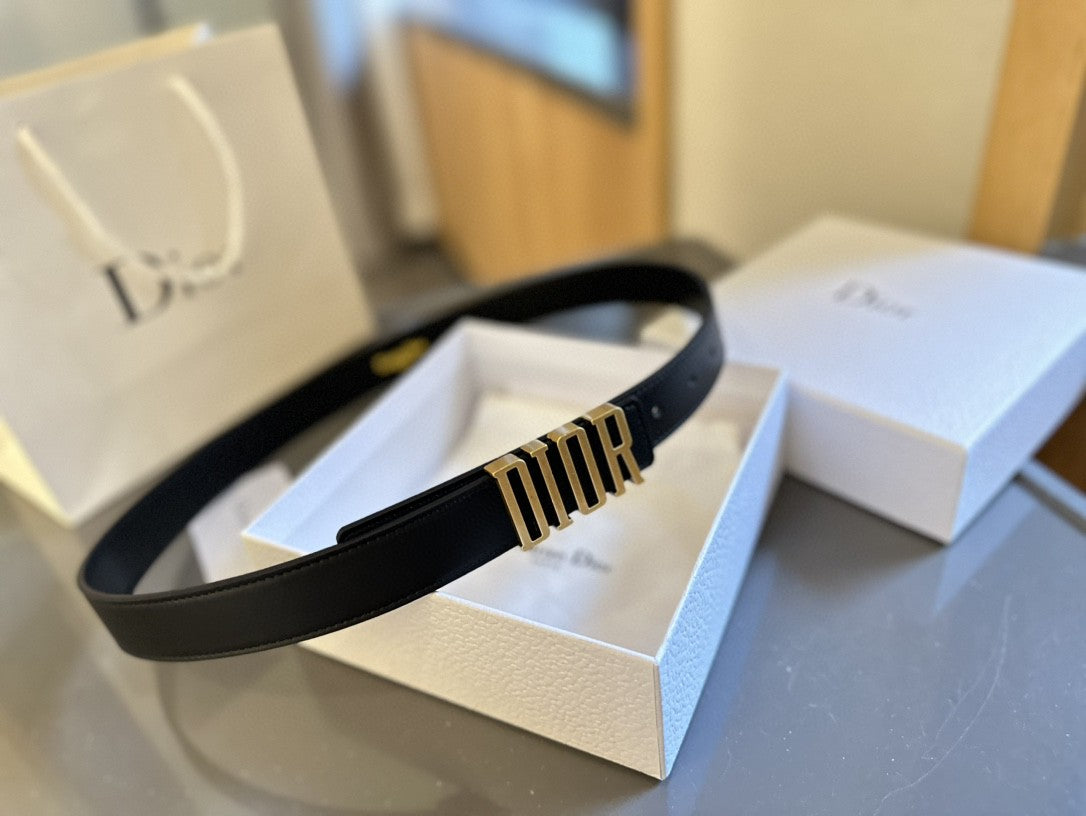 Dior D-Fence belt in black smooth calfskin leather with an antique gold-finish metal 'DIOR' buckle