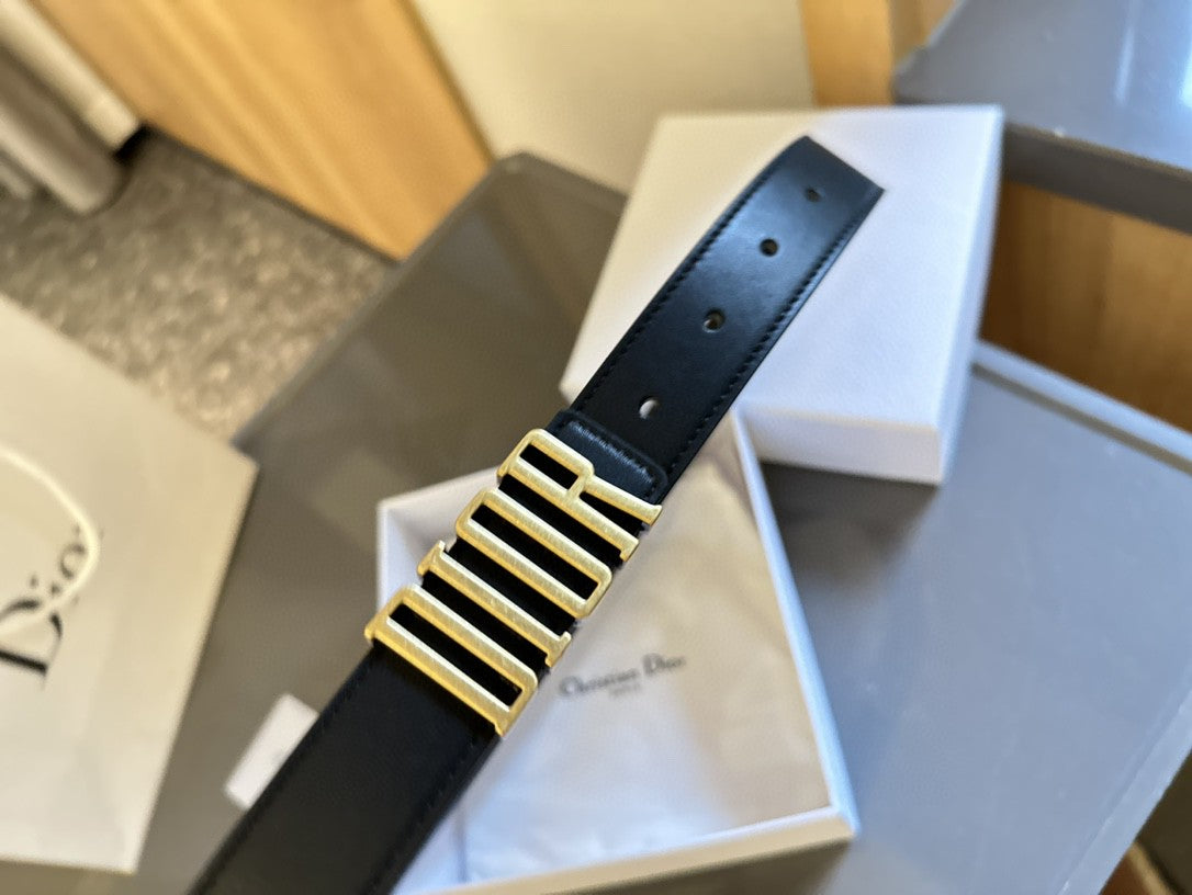 Dior D-Fence belt in black smooth calfskin leather with an antique gold-finish metal 'DIOR' buckle