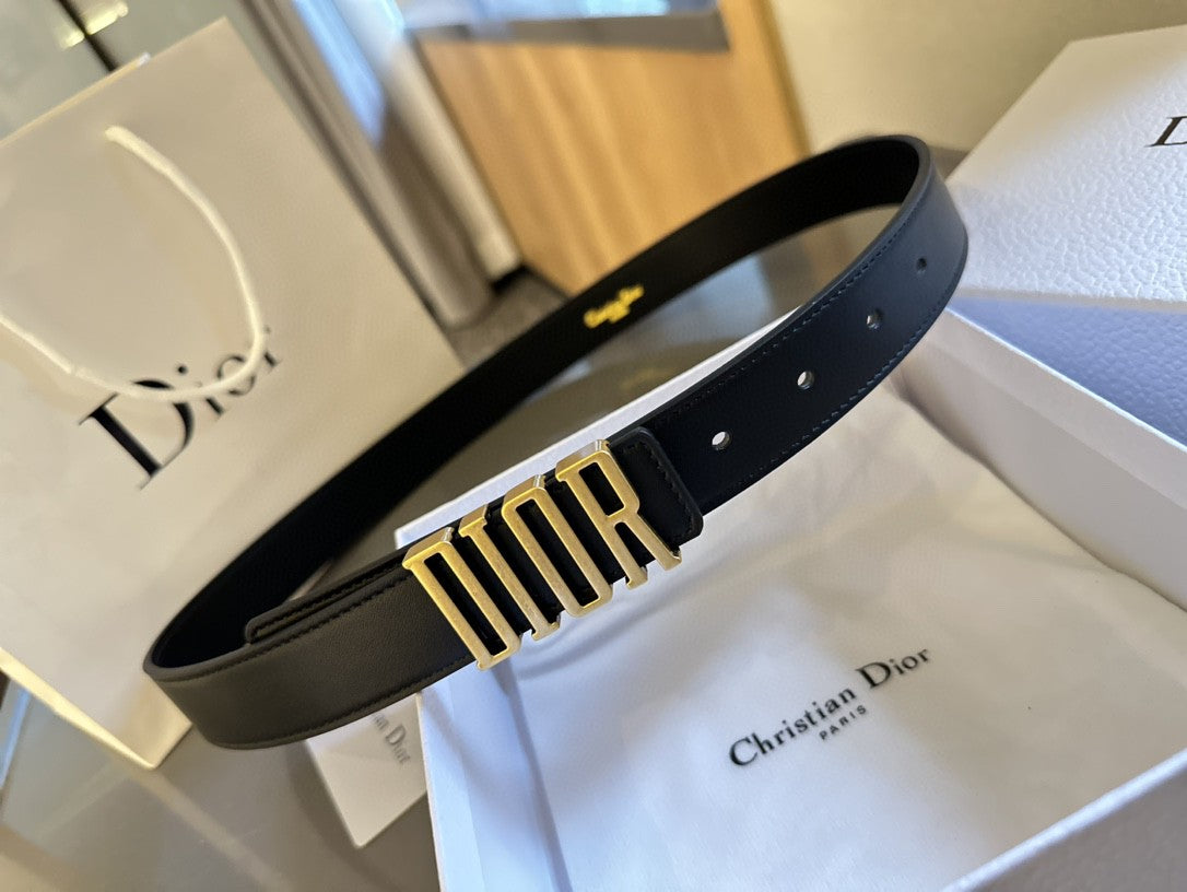 Dior D-Fence belt in black smooth calfskin leather with an antique gold-finish metal 'DIOR' buckle